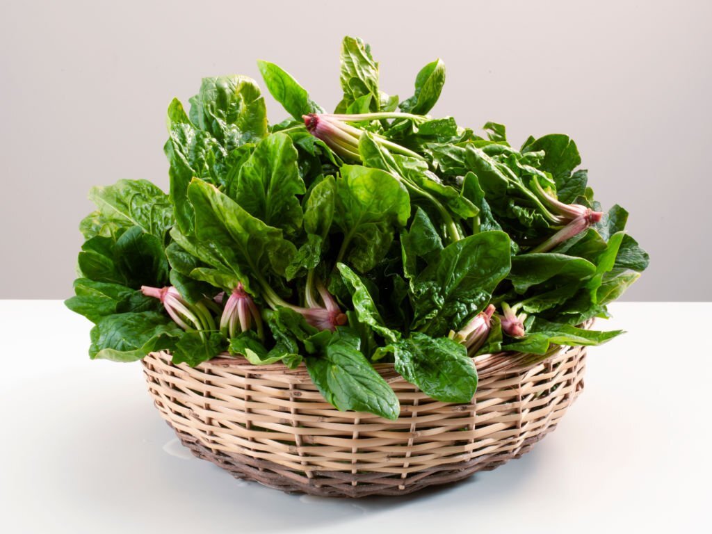 পালং শাকের (Spinach) নানান গুণ ও বৈশিষ্ট্য পালং শাকের (Spinach) নানান গুণ ও বৈশিষ্ট্য
