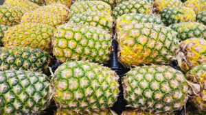 আনারস(Pineapple) উষ্ণ আবহাওয়ার রসালো ফল ,যা স্বাদ ও পুষ্টির এক দুর্দান্ত সংমিশ্রণ